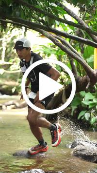 BIB:  <button type="button" onclick="openModal(27825571)" class="btn btn-primary btn-sm float-right" data-toggle="modal" data-target=".modal-high-quality">
                <i class="fa fa-download"></i> Download
                </button>